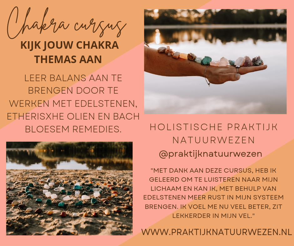 chakra cursus