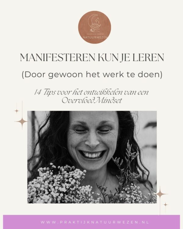 law of attraction nederlands E-book